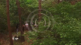 /album/forest-cum/ejejej-png1/