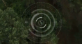 /album/forest-cum/ff-png1/