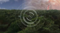 /album/forest-cum/ffff-png1/