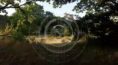 /album/forest-cum/ffffff-png1/